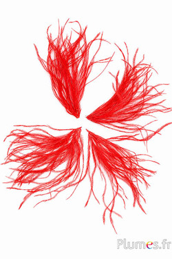 Struisvogel lont zonder hart - 3 cm - rood